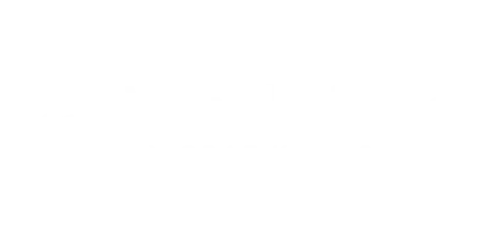 Logo WonderPaper blanc